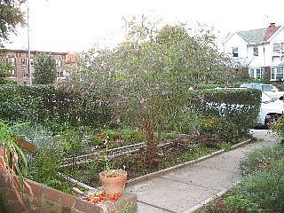 Front garden
