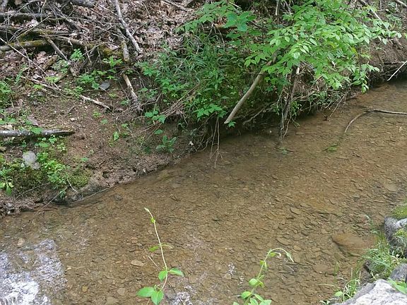 4th image of 0 Ridgecrest Loop Ln
