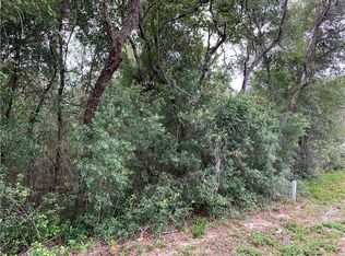 1627/1663 E Naperville Ln, Hernando, FL 34442