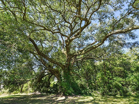 4th image of 3369 Catahoula Hwy