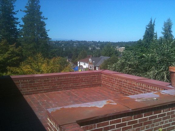 View from patio
