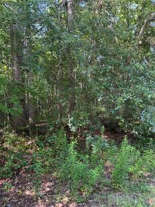 89 Trellis Ct #68, Carrollton, GA, 30116