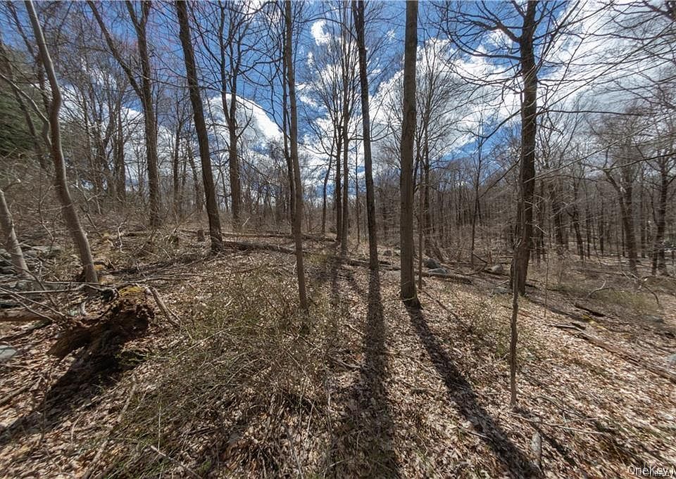 1st image of 91 Sherwood Hill Road