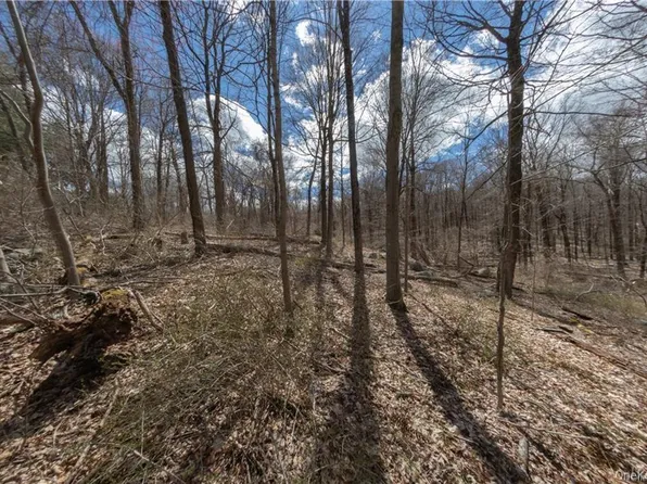 91 Sherwood Hill Road, Brewster, NY 10509