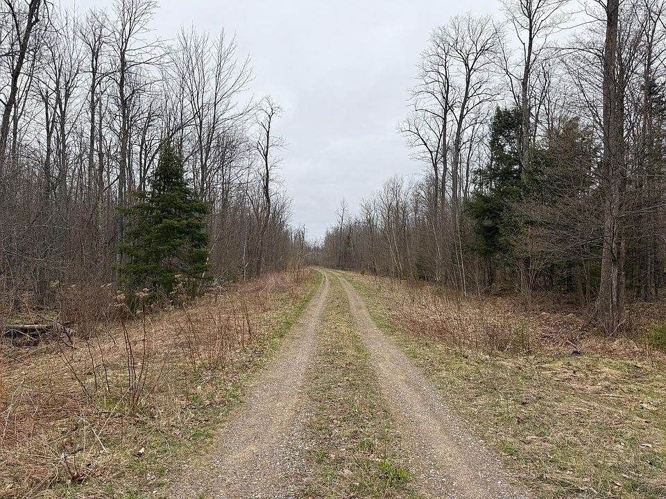 2nd image of 0 Highway 8