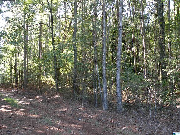 5th image of Grist Mill Rd #1