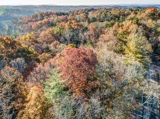 389 New Hope Club Rd #2, Ellijay, GA 30540