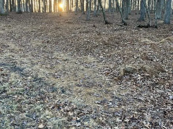 314 Forest Dr, Lords Valley, PA 18428