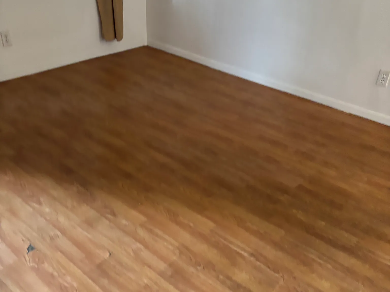 Studio, 300 sqft, $1,500 — Photo 3