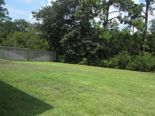 back yard