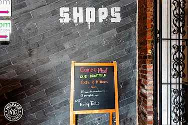 Rented by MySpaceNYC