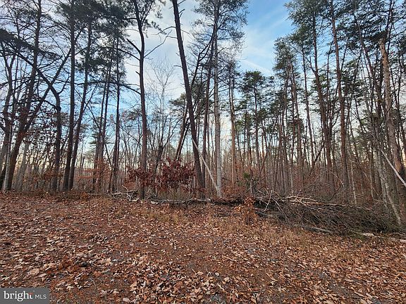 3rd image of LOT 10 Paradise Ln