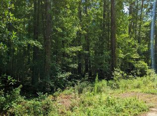 5741 Glifton Ave, Ravenel, SC 29470