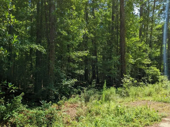 5741 Glifton Ave, Ravenel, SC 29470