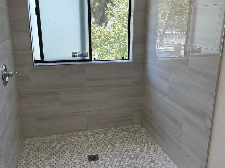 Master bathroom walk-in shower