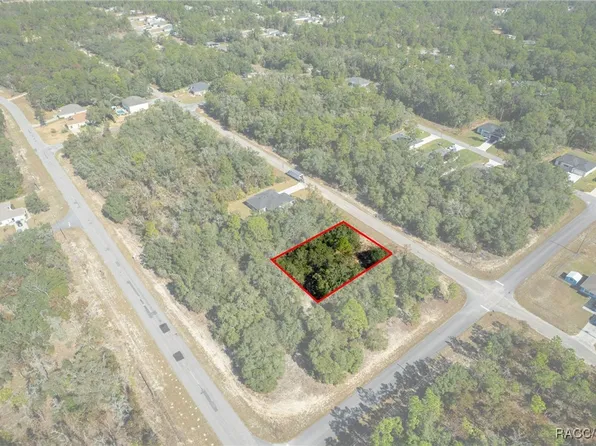 6320 N Matheson Dr, Citrus Springs, FL 34434