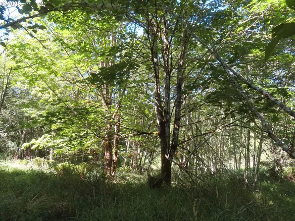 Salmon Creek Rd, Mossyrock, WA 98564