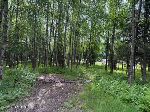 5246 W Lupine Ln, Wasilla, AK 99623
