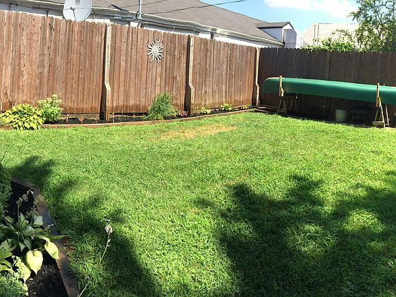 Back yard