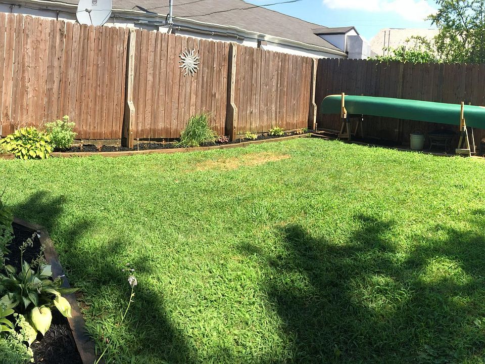 Back yard