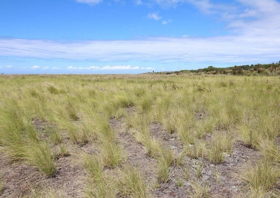 2nd image of Kamanu St Lot 20