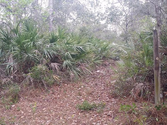 2 POSTS BEGINNING OF TRAIL