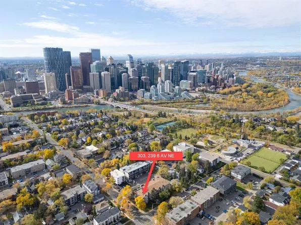 239 N 6th Ave NE #303, Calgary, AB T2E 0L8