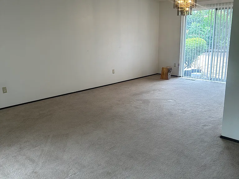 15804 SE 179th St — Photo 50