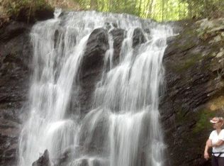 1 Elk Creek Darby Rd, Ferguson, NC 28624