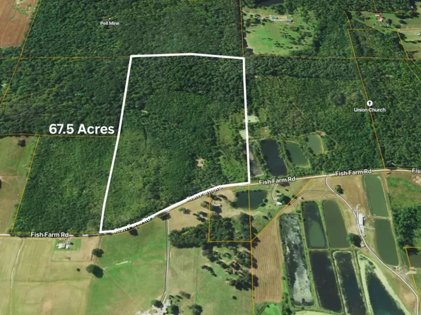 70 Fish Farm Rd, Golconda, IL 62938
