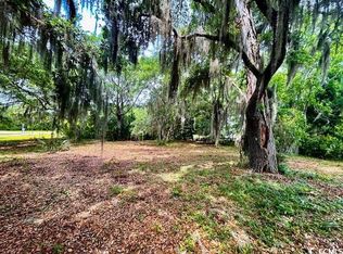 258 Bonnyneck Dr, Georgetown, SC 29440