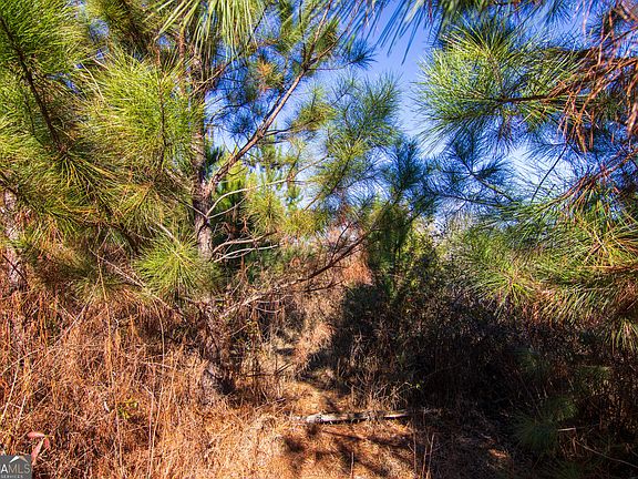 4th image of TRACT Six 0 Chestnut Grove Rd