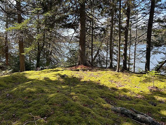 5th image of 510 Grand Marsh Bay Road