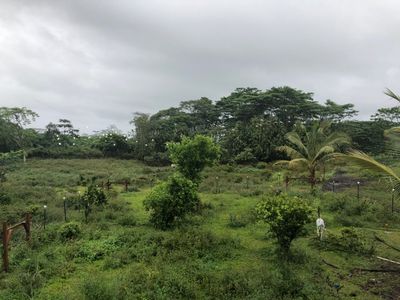 Puamana Rd, Pahoa, HI, 96778