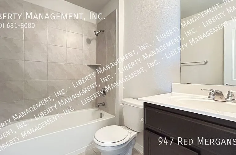 947 Red Merganser — Photo 18