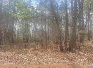 2.90 County Road 316, Trinity, AL 35673