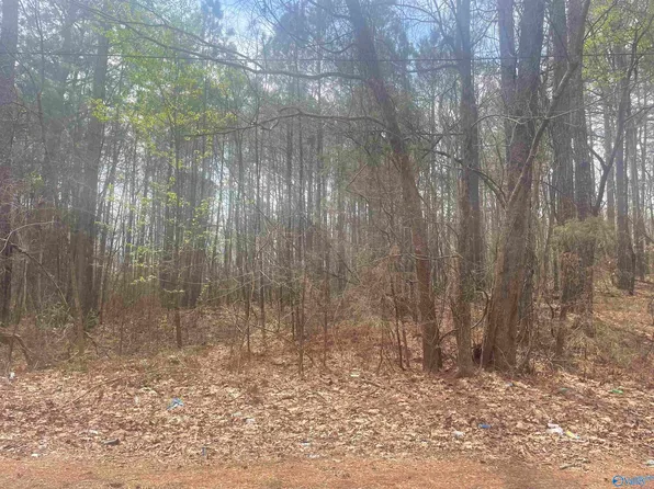 2.90 County Road 316, Trinity, AL 35673