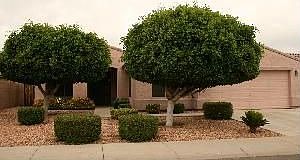 5th image of 14942 W Mauna Loa Ln