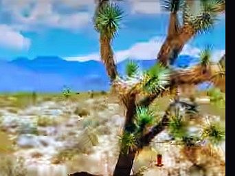 1st image of 13779 S Carrow Rd