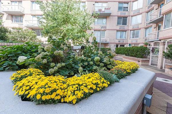 Rented by Solace SMC Inc | media 43