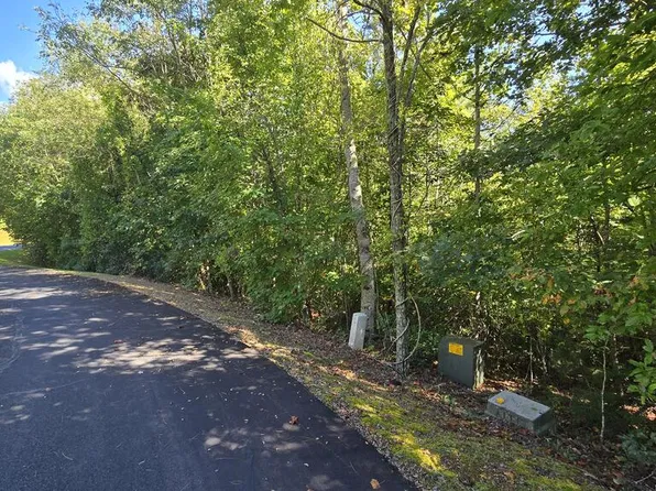 23 Dan Knob Dr, Hayesville, NC 28904