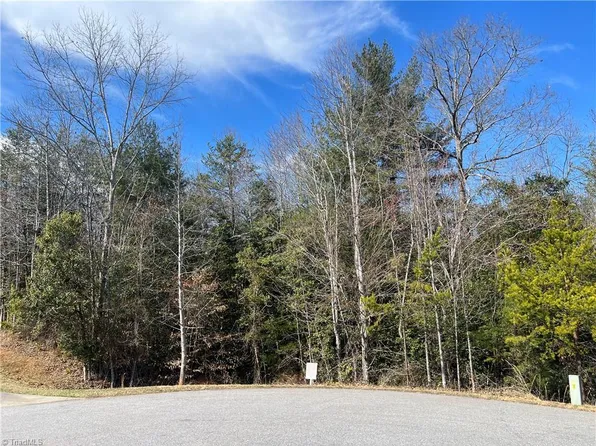 LOT 29 Chase Ln Lot 29, Millers Creek, NC 28651