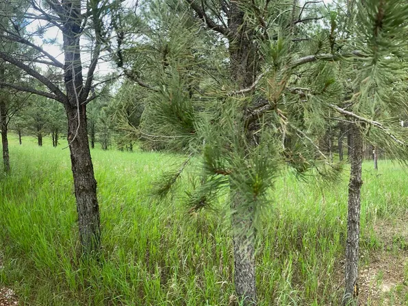 Tbd Other, Custer, SD 57730