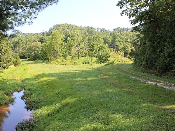 Bottom land field and year round stream