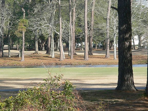 View From Screened Porch