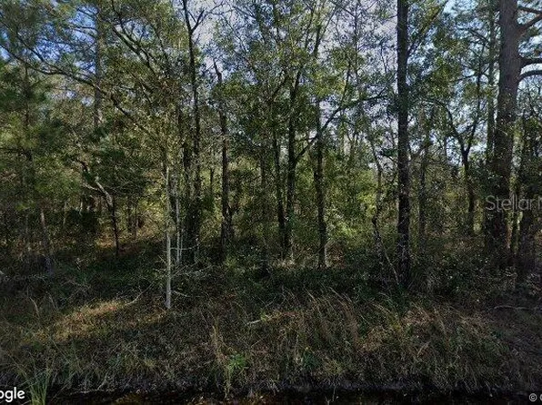 10100 VAUGHAN AVENUE, HASTINGS, FL 32145