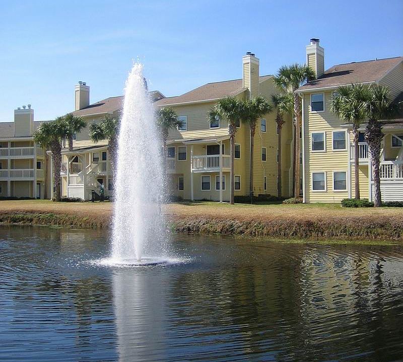 View from the pond