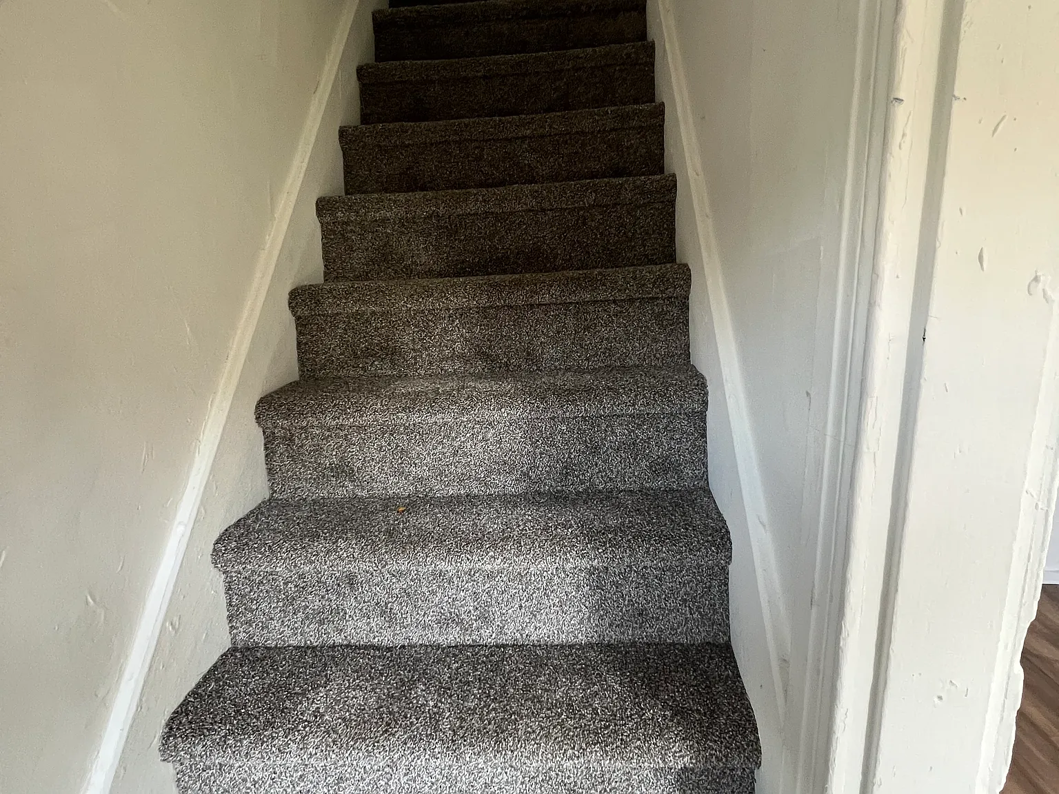 2 bed, 1150 sqft, $1,000 — Photo 3