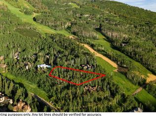 89 Elk Track Ct, Beaver Creek, CO 81620
