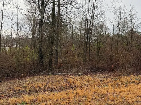 874 Forrester Cemetery Rd, Covington, GA 30014